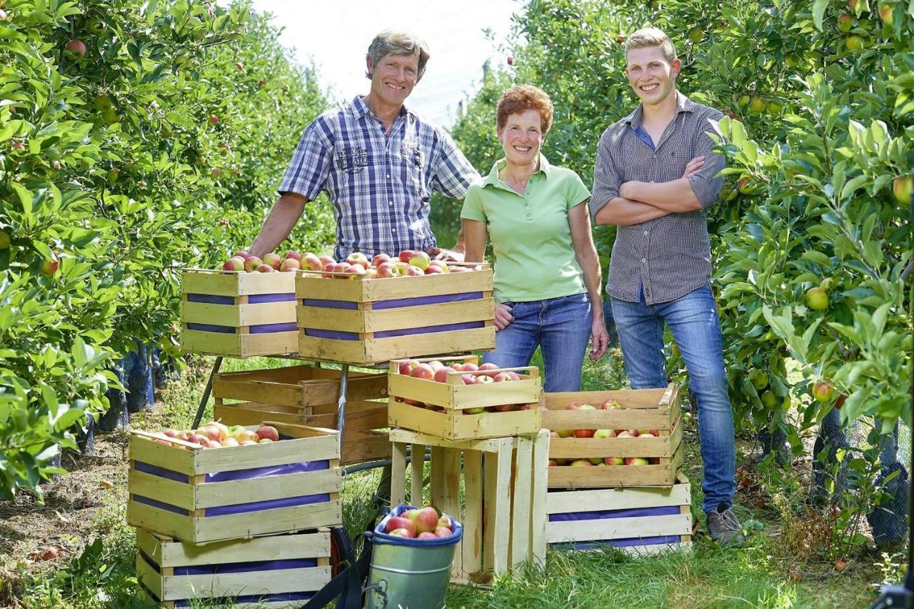 Winzerhof Woerner Durbach Exterior foto