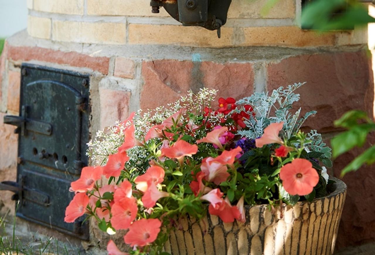 Winzerhof Woerner Durbach Exterior foto